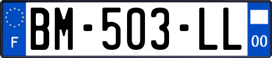 BM-503-LL