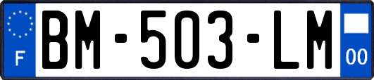 BM-503-LM