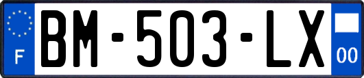 BM-503-LX