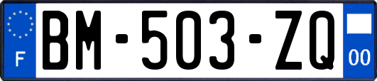 BM-503-ZQ