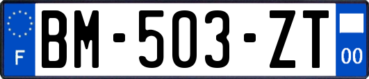 BM-503-ZT