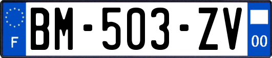 BM-503-ZV