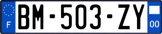 BM-503-ZY