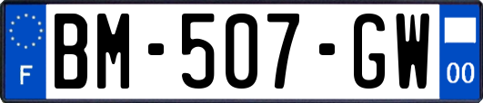 BM-507-GW