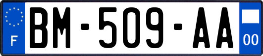 BM-509-AA