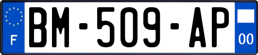 BM-509-AP