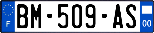 BM-509-AS