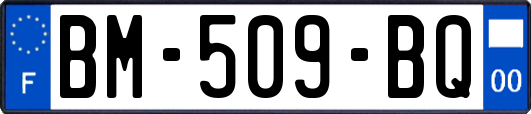 BM-509-BQ