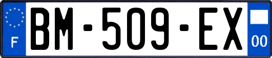 BM-509-EX