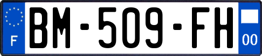 BM-509-FH