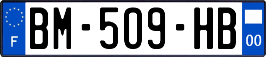 BM-509-HB