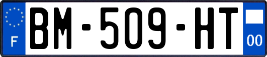 BM-509-HT