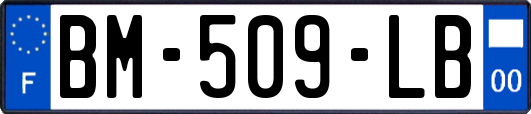 BM-509-LB