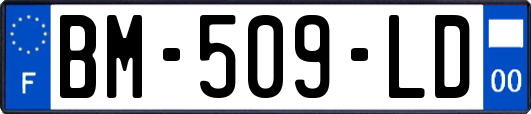 BM-509-LD