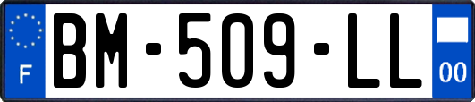 BM-509-LL