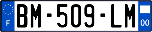BM-509-LM