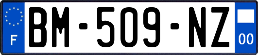 BM-509-NZ