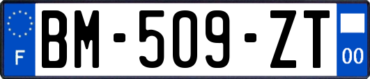 BM-509-ZT