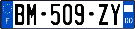 BM-509-ZY