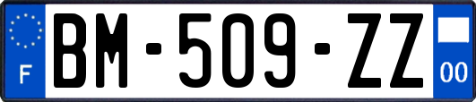 BM-509-ZZ