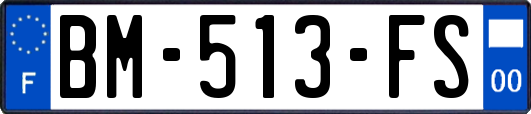 BM-513-FS