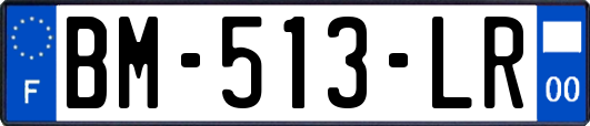 BM-513-LR
