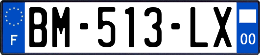 BM-513-LX