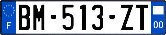 BM-513-ZT