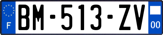 BM-513-ZV