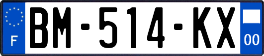BM-514-KX