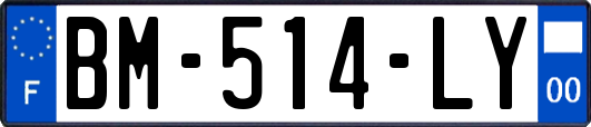 BM-514-LY
