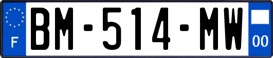 BM-514-MW