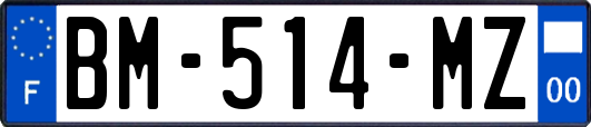 BM-514-MZ