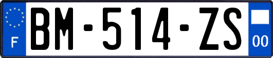 BM-514-ZS