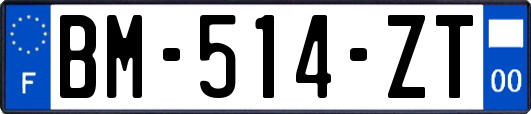 BM-514-ZT