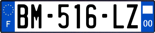 BM-516-LZ