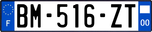 BM-516-ZT