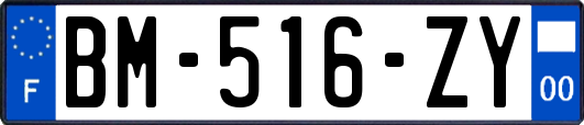 BM-516-ZY