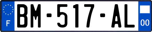 BM-517-AL