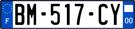 BM-517-CY