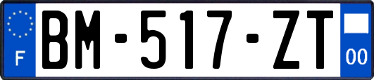 BM-517-ZT