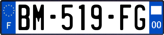 BM-519-FG