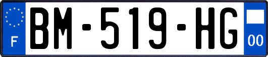 BM-519-HG