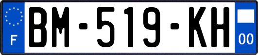 BM-519-KH