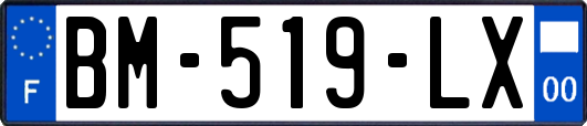 BM-519-LX