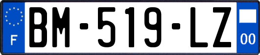 BM-519-LZ