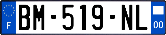 BM-519-NL