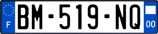 BM-519-NQ