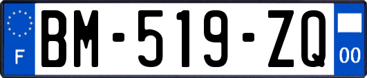 BM-519-ZQ