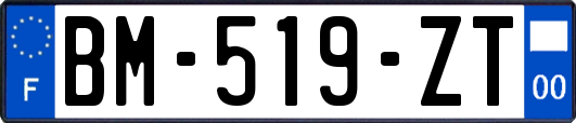 BM-519-ZT